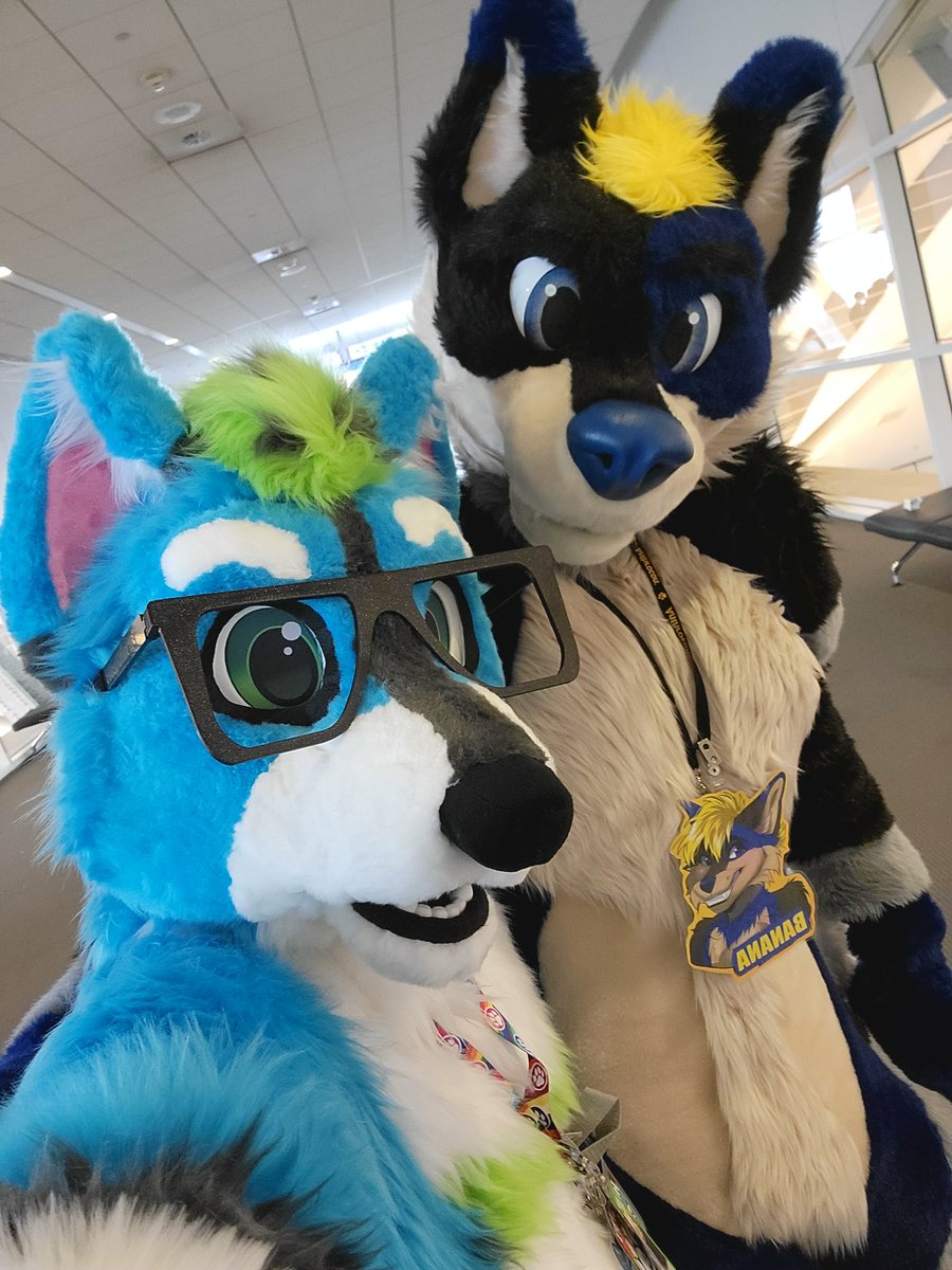 Was great seeing <a href="/BDawgTheHusky/">B Dawg</a> again, such an adorable tall doggo 🤗