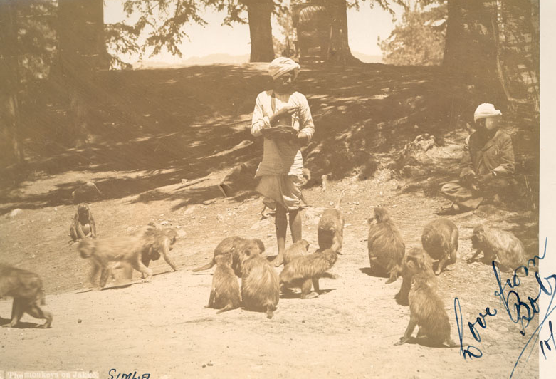 OK, so it's not strictly speaking art, but here’s our offering for this week’s wild animal-themed #onlineartexchange. This photograph, showing monkeys in Simla, India, was sent home by one of the men of the 1st Battalion, the South Wales Borderers in 1939.#artuk #thewildescape