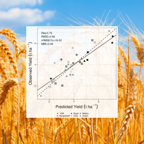 insilicoplants's tweet photo. A new study shows promising results in integrating ML algorithms into crop modelling. #MachineLearning #CropModelling #ClimateChange 

🔬 Research: https://t.co/8wivdlieWF
📰 Story from @botanyone@botany.social  https://t.co/35ycBLbhRm https://t.co/xV9ADsYCw3