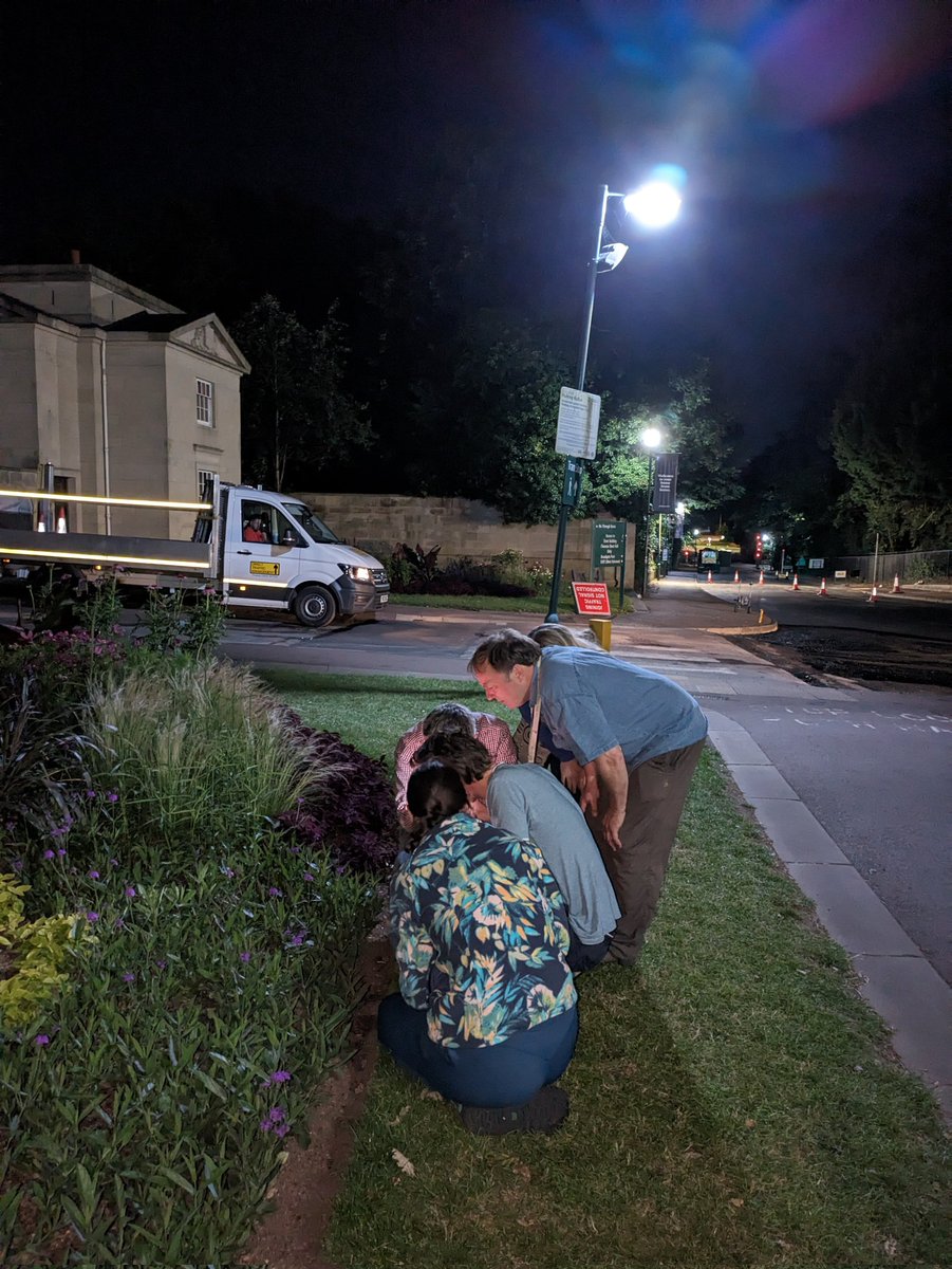 What botanists get up to at 11 pm at night returning from dinner. Identifying garden plants to family at University of Nottingham! Very enjoyable time at the #BUC, and met a great bunch of people! @drmgoeswild @Alistairovereem @pennymarshwort @aoife_embleton @hannah_con_bio