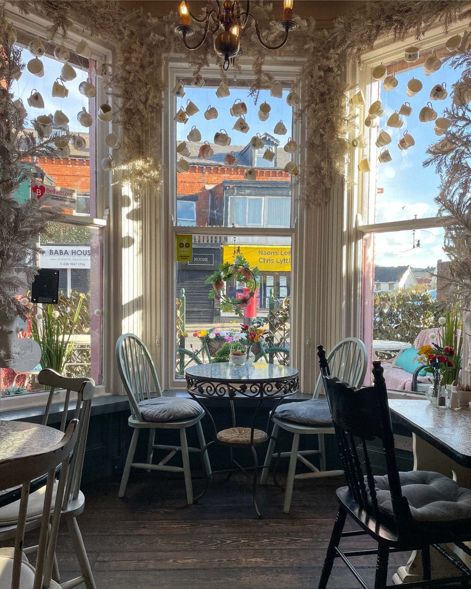 lamppost_cafe's tweet photo. Open Friday, Saturday &amp; Sunday ❤️

Friday &amp; Saturday 9am-Late 
All-day menu until 3.30pm, dinner menu from 3.30-Late (last sitting 9pm)

Sunday 9am-4PM (kitchen closes at 3.30pm) 

🦁

#DogFriendlyBelfast #Thelamppostcafe #Belfast #EastBelfast #SpecialityCoffee #Narnia https://t.co/Ghsyq9D7Vf