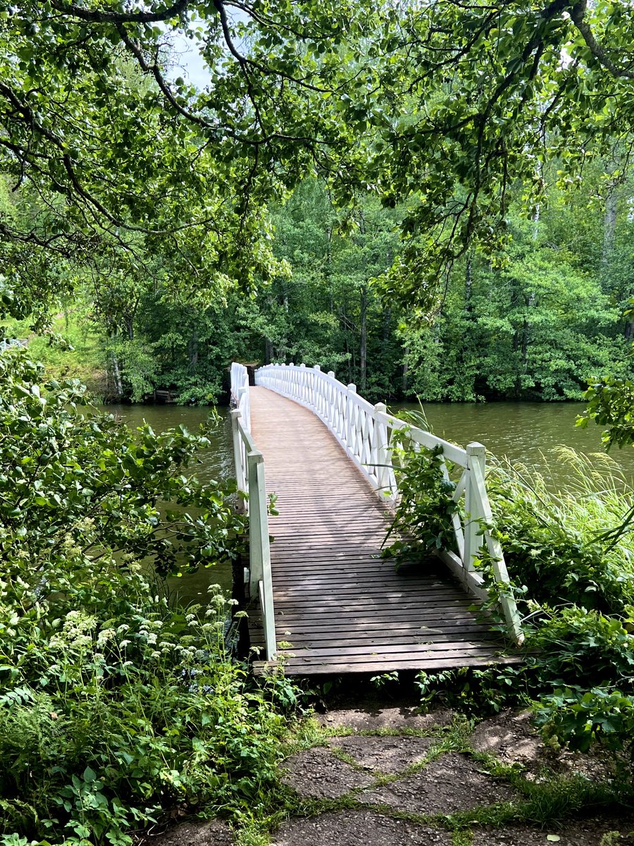 NGlers's tweet photo. Suomen suvi #mustio #kävely 🇫🇮🌱 https://t.co/kdzdKsCpFo