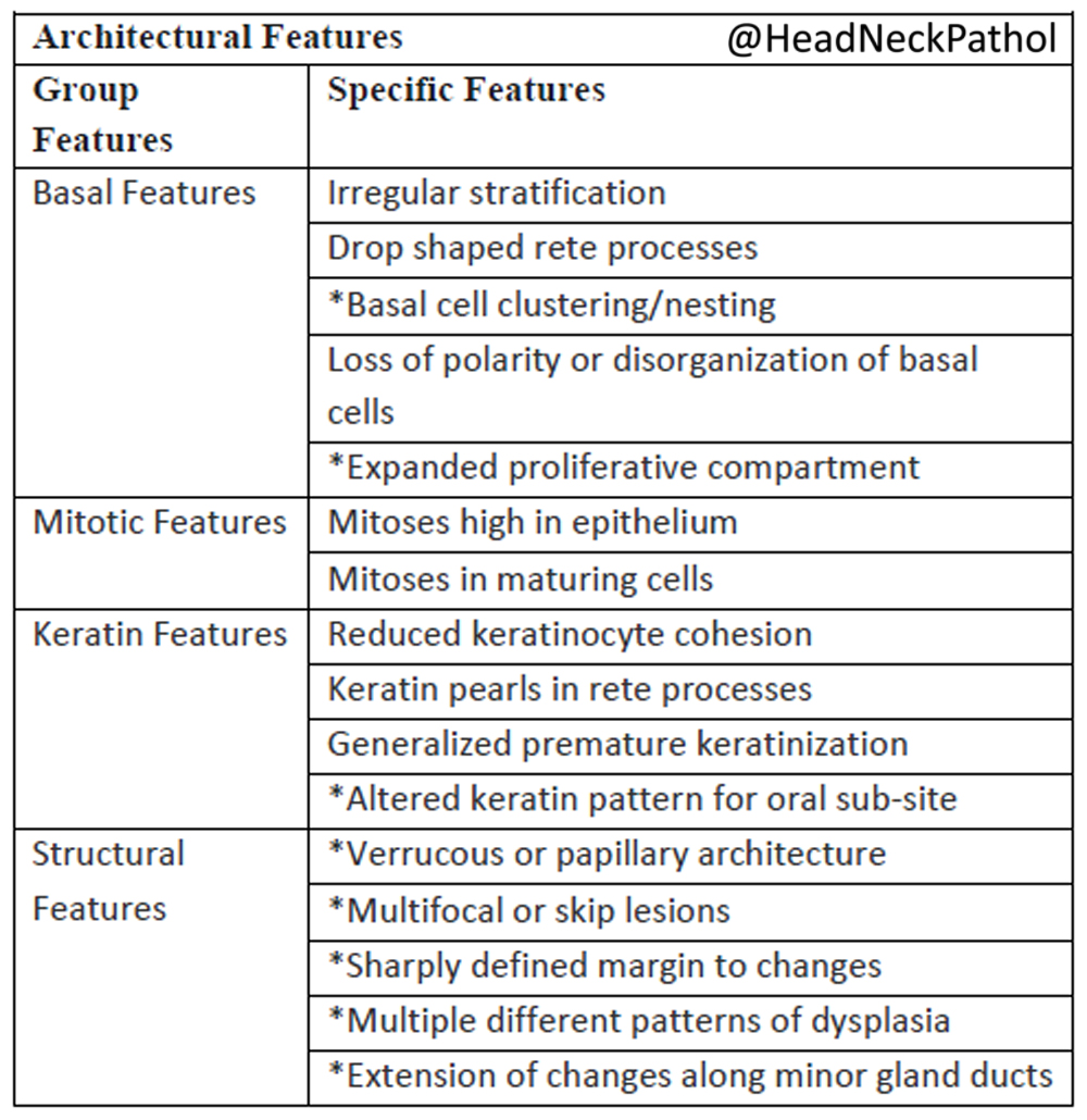 Proceedings of the 2023 NASHNP New Orleans Oral Cavity Dysplasia: Why Does Histologic Grading Continue to be Contentious? Rachelle Wolk & Mark W. Lingen rdcu.be/dcO2Q #HeadNeckPathol #HNPJ #HeadandNeckPath #Pathology #ENTPath #PathologyTweet