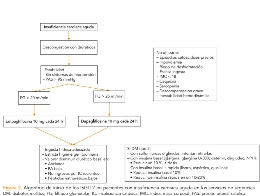 iSGLT2 en insuficiencia cardiaca aguda en urgencias en... <a href="/ReuErevista/">REUErevista</a>
reue.org/numero-actual/
