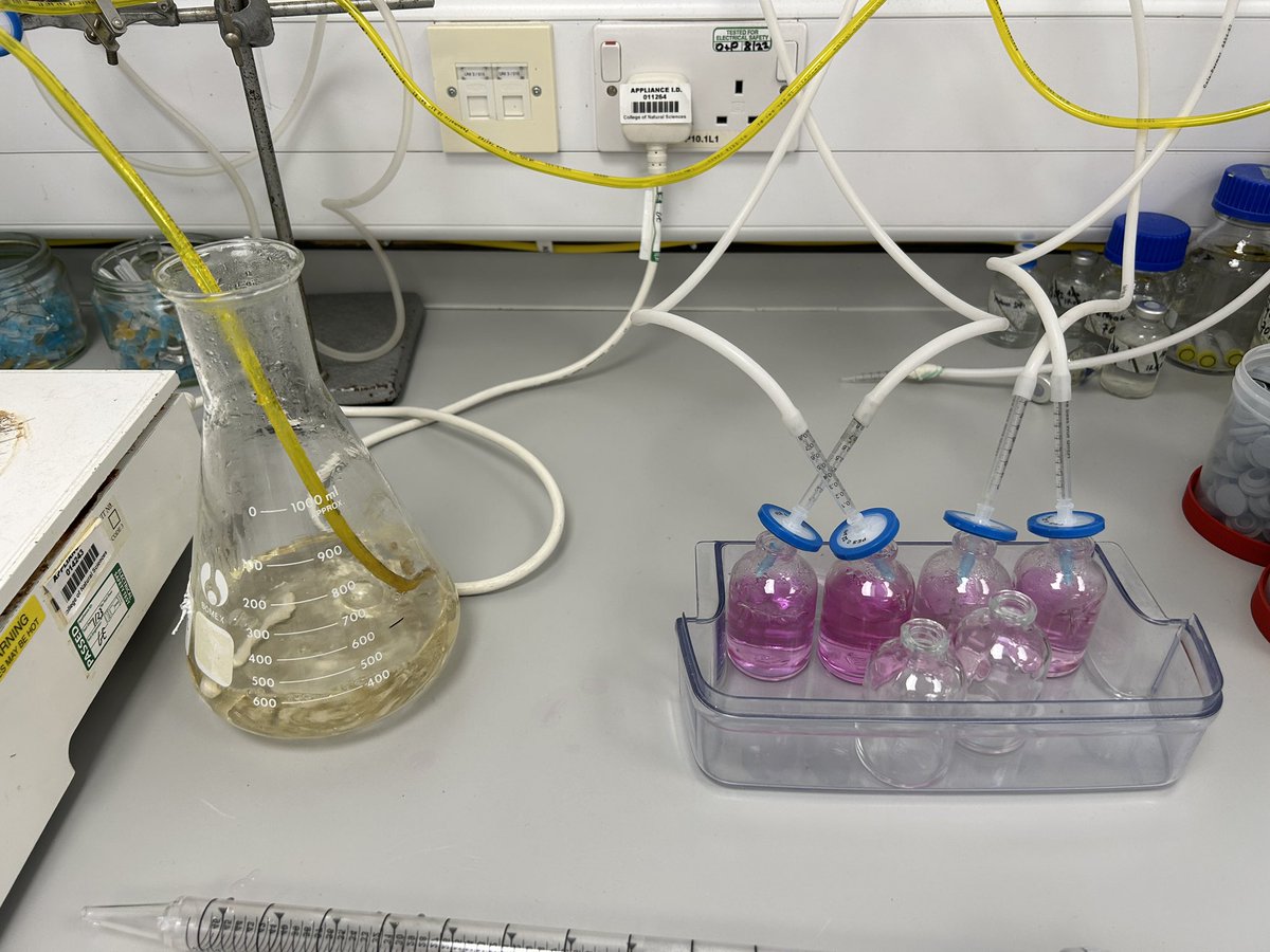 jamesemcdonald's tweet photo. Had a great day in the lab with @Beth_Pettifor and @M_D_Carpenter setting up the final big experiment for the @synbiogas project https://t.co/FJHGpMB1Xk
