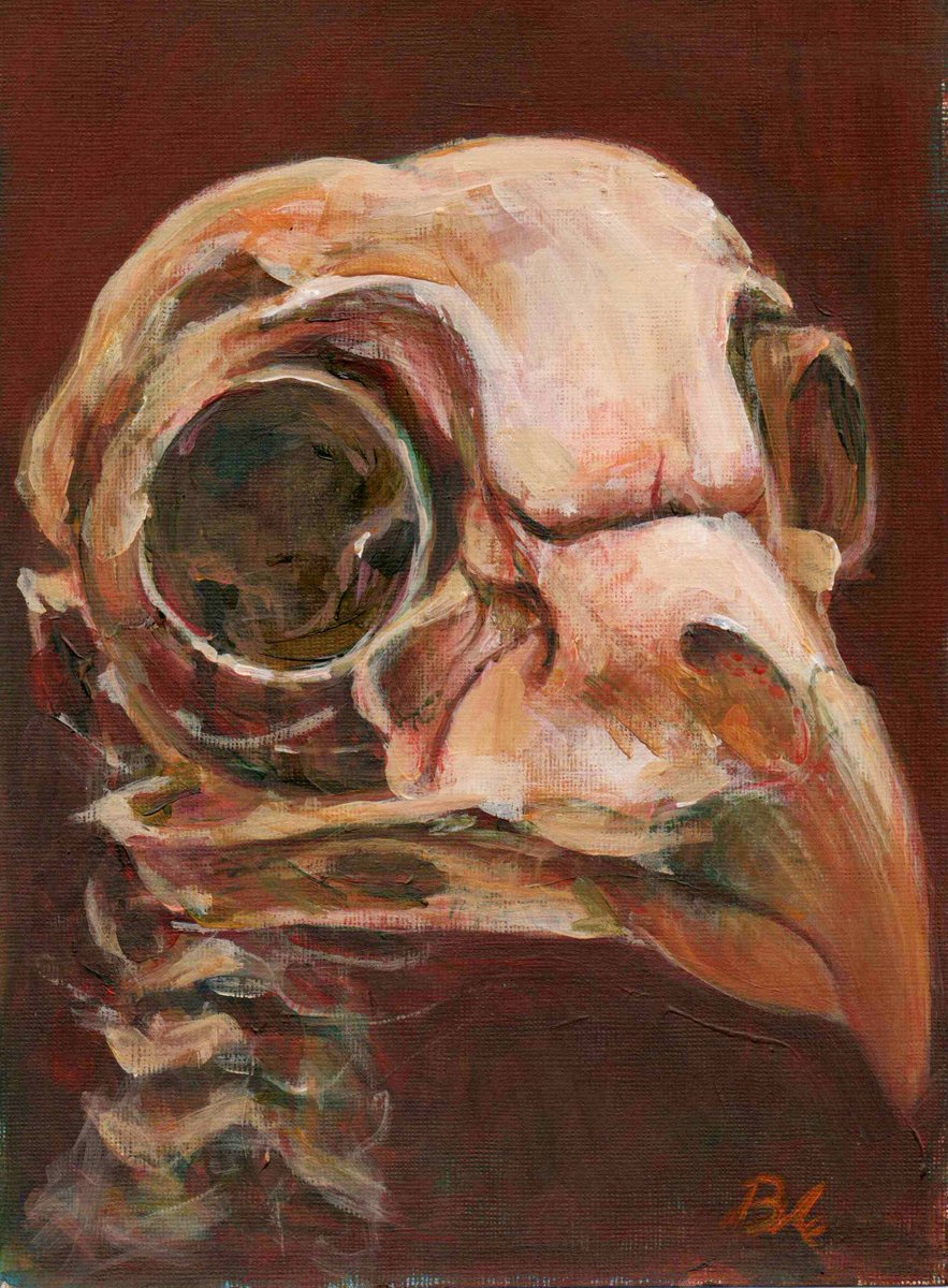 ble_art's tweet photo. "noctua "
Acrylic on acrylic pad
25,5 x 17,7cm
10" x 7"
Available at https://t.co/FxuuaGlLJL https://t.co/sAzctuKpo7