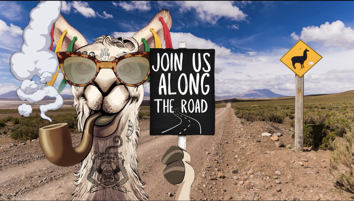 La Llama Politically Incorrect Club tweet media