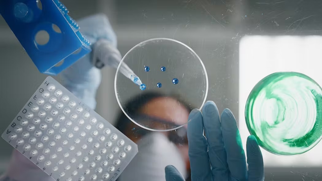 🔬 Research and Development (R&amp;D) never rests.

Midway through the year, what are the biggest priorities in the pharma pipeline?

Oncology owns over 40% of new drug candidates, followed by 13.5% of pipeline drugs focused on neurological conditions.

bit.ly/44ekvxX