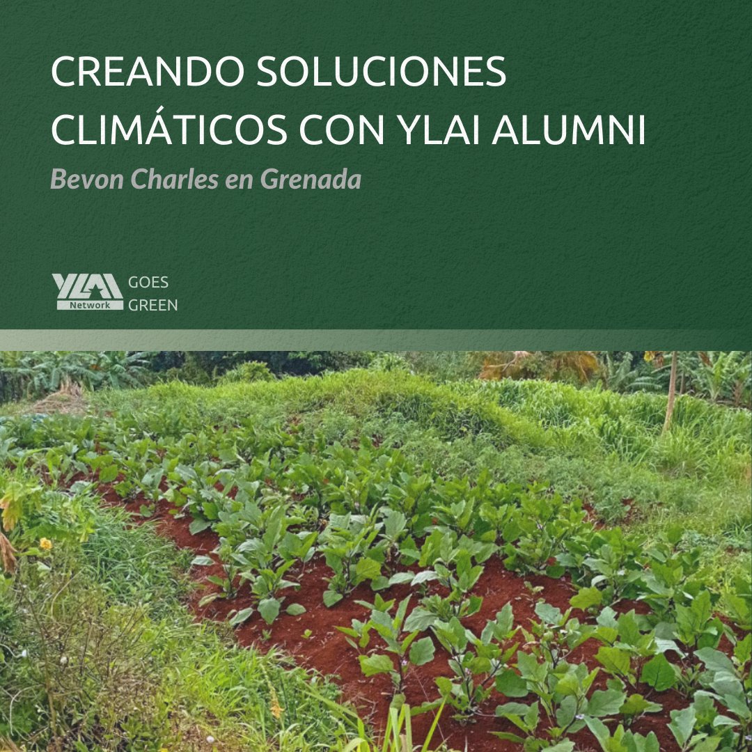 Jóvenes líderes como la exbecaria de @YLAINetwork Bevon Charles nos inspiran a descubrir soluciones únicas a problemas relacionados con el clima, como la seguridad alimentaria. Conoce sobre su negocio Akata Farms y su consejo para jóvenes líderes, aquí: ow.ly/UPe950P5ShZ