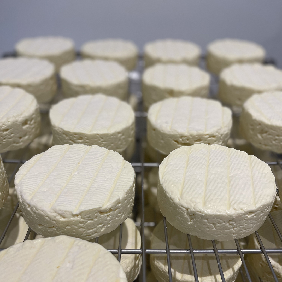 Introducing Hollis Mead Dairy! 🐄

We are excited to be stocking Hollis Mead's lovingly created range of Pasture For Life certified dairy.

Produced to the best ethical and sustainable standards, from the milk of happy, healthy cows, shop the range today:
ow.ly/QLfv50P6eiN