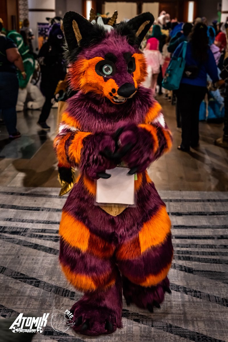 PaintedDesertFC's tweet image. Were you thinking about National Chocolate Day during the fursuit parade? You will now. 🍫😋 #fursuitfriday #pdfc2023 #fursuitparade 

📷:AtomiK
🐦: @atomikRC