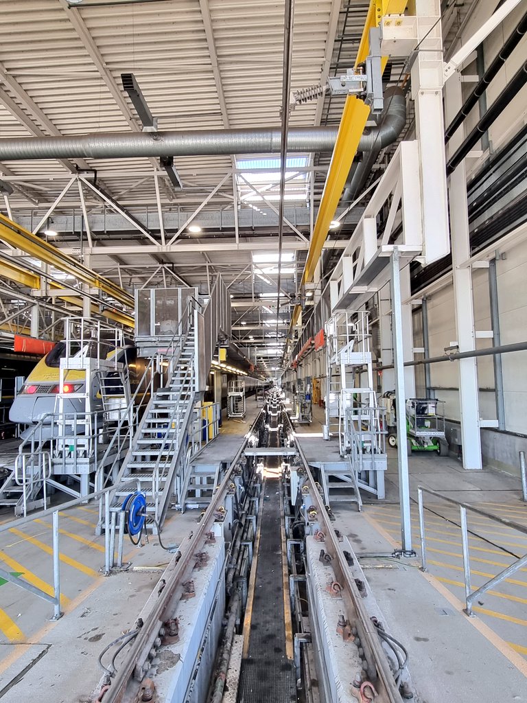 Noel Dolphin tweet media