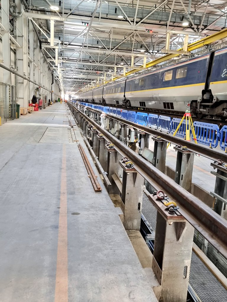 Noel Dolphin tweet media