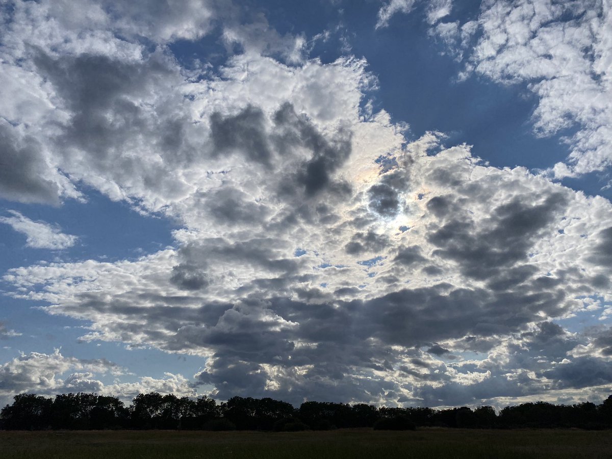 cornbunting's tweet photo. @xobreex3 Wanstead Flats. From the playing fields #E11 earlier this week. https://t.co/ZrlUsCEOdr