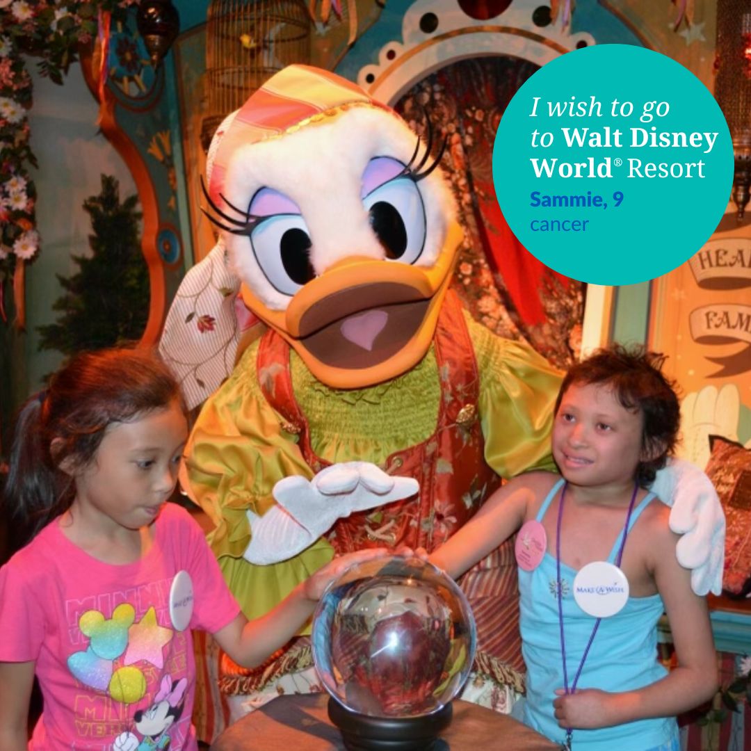 Make-A-Wish Metro NY tweet media