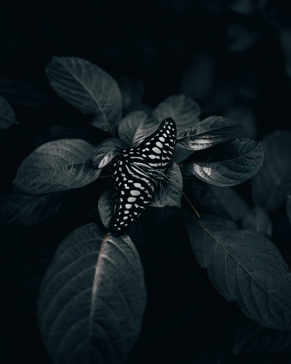 alenpalander's tweet photo. Your daily dose of human made photographs. https://t.co/ApxCNBUaoC
