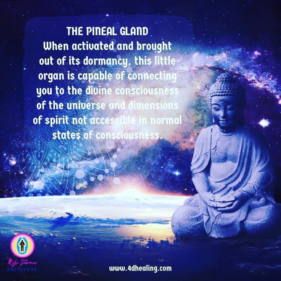 RTIEM's tweet photo. PINEAL GLAND ACTIVATION 🧘‍♀️ 

Join me TONIGHT to activate the most powerful creative force in your head, your Pineal Gland. 

Register now for a 2 hour mini training that will totally rock your socks! https://t.co/xH2eWQt72c

#meditation #pinealgland #thirdeye #yoga #energyhealing https://t.co/omEji8wzRu