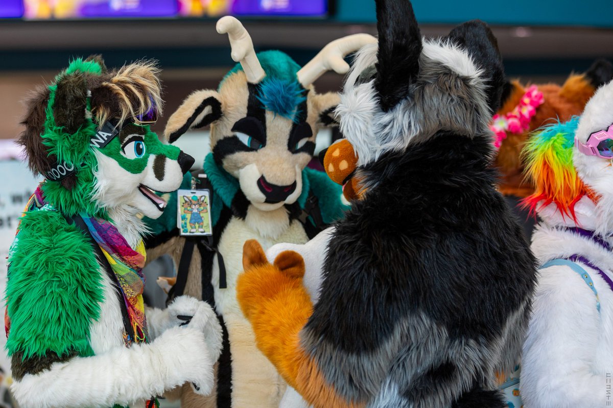 "Awoo?" "Bleat!" "Bark!" - Furry discussions be like that.
#fwa2023 #FursuitFriday 
📷 <a href="/YuvonDov/">yuvon.bsky.social</a>