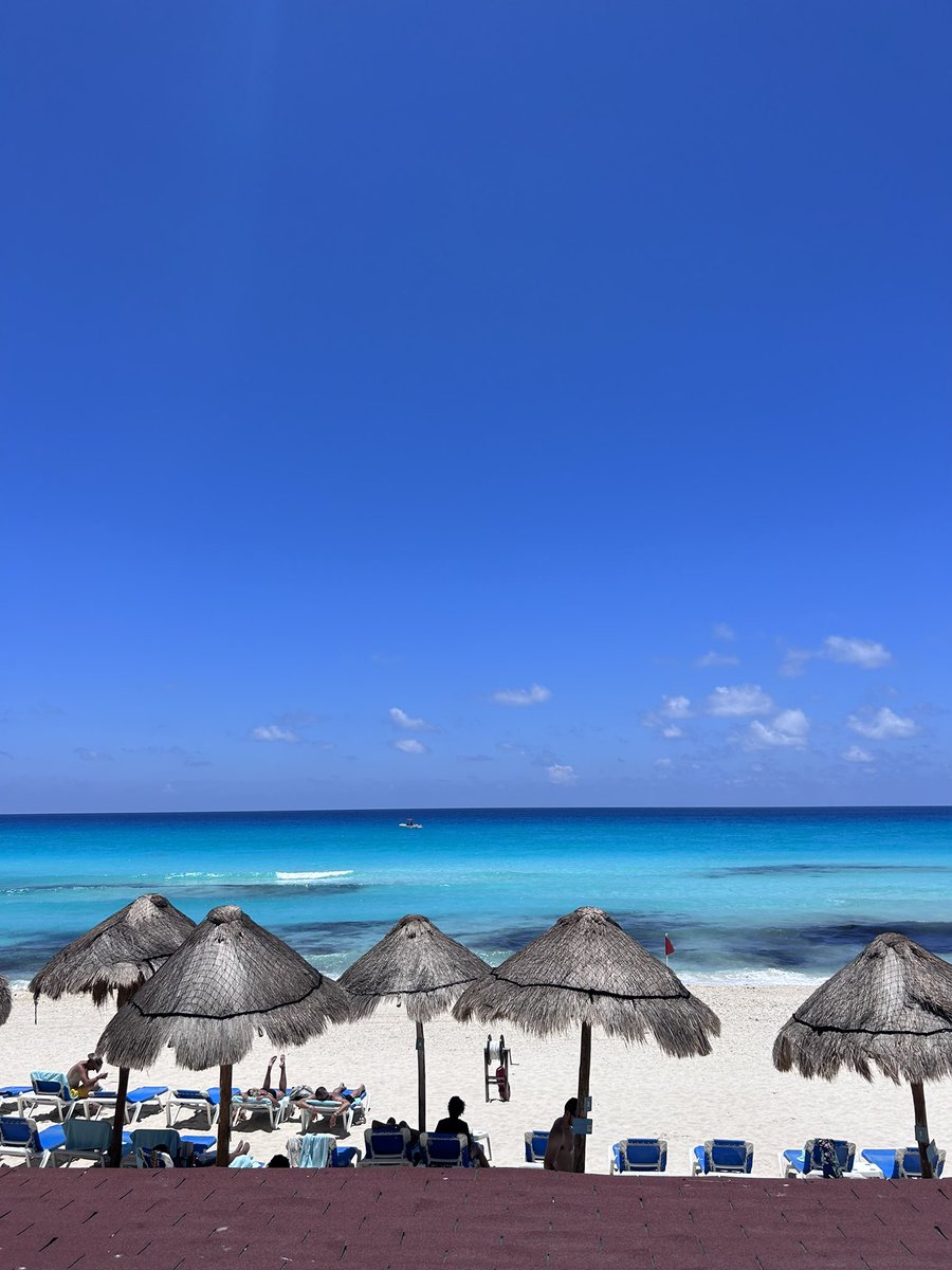 blywhat's tweet photo. Mexico on my mind https://t.co/olLnYKEGKH