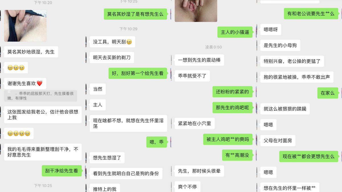 渡先生 tweet media