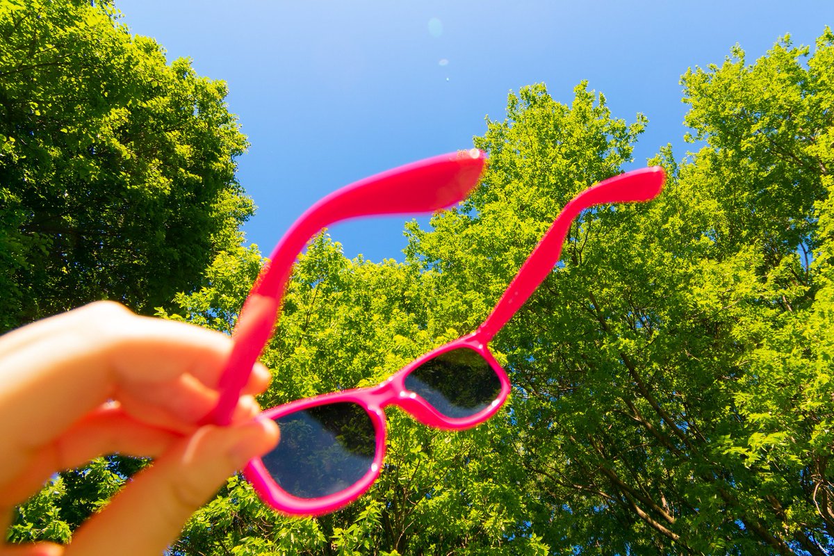 James Lave tweet media