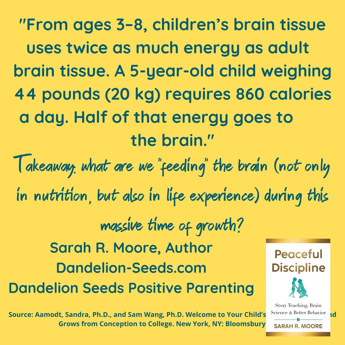 Note to my #parenting self: add some more blueberries, hugs, and sunshine to today's brain regimen. 💛❤️💚💙

#childdevelopment #brainscience