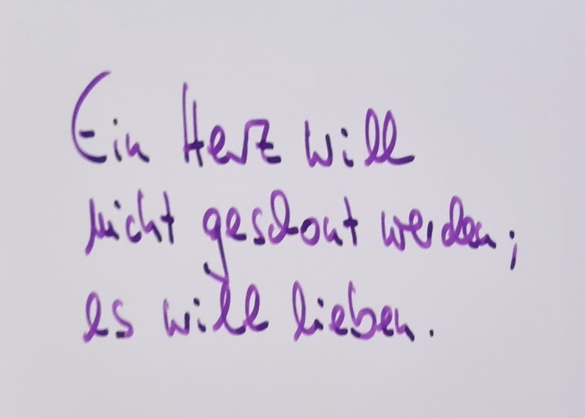 Nachtgedanke 🌺