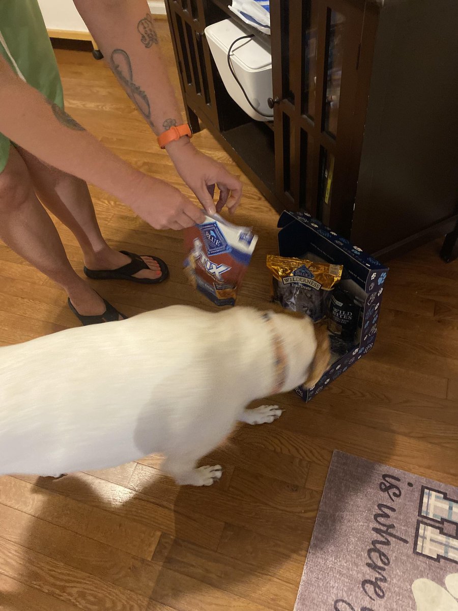 kimdm316's tweet image. Thank you @GratsyOfficial and @bluebuffalo for this amazing box of goodies! Very happy dogs here! #TreatWellWithBlue #BlueBuffaloWalmart #GratsyBox #Gratsy