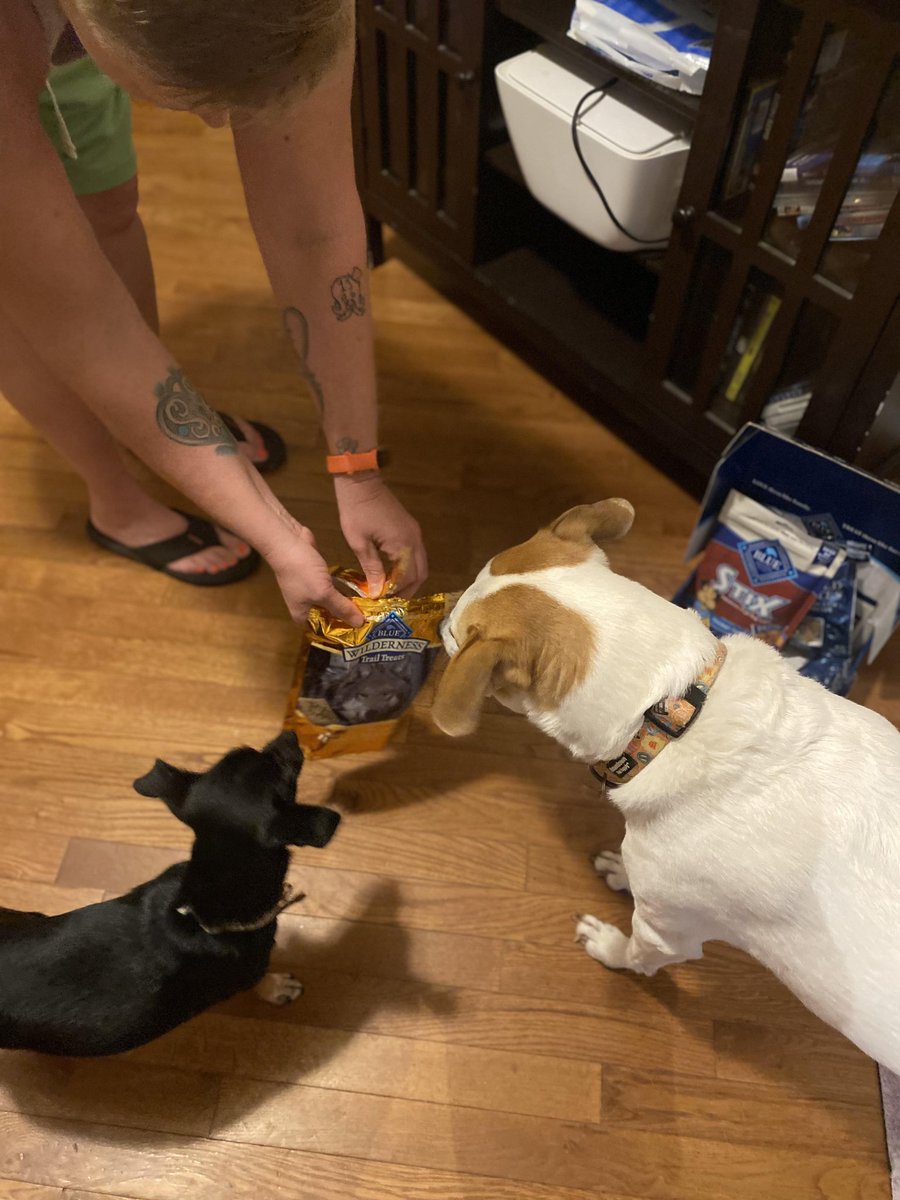 kimdm316's tweet image. Thank you @GratsyOfficial and @bluebuffalo for this amazing box of goodies! Very happy dogs here! #TreatWellWithBlue #BlueBuffaloWalmart #GratsyBox #Gratsy