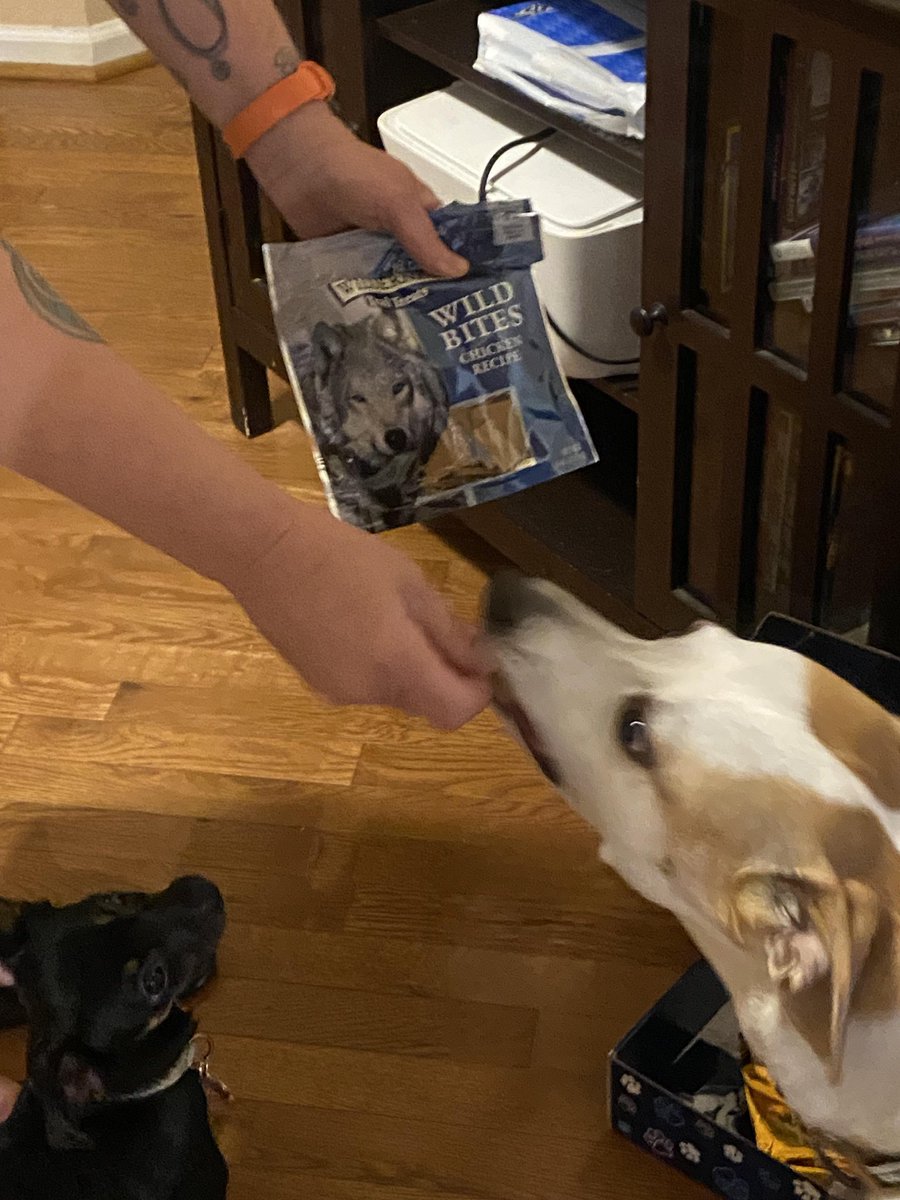 kimdm316's tweet image. Thank you @GratsyOfficial and @bluebuffalo for this amazing box of goodies! Very happy dogs here! #TreatWellWithBlue #BlueBuffaloWalmart #GratsyBox #Gratsy