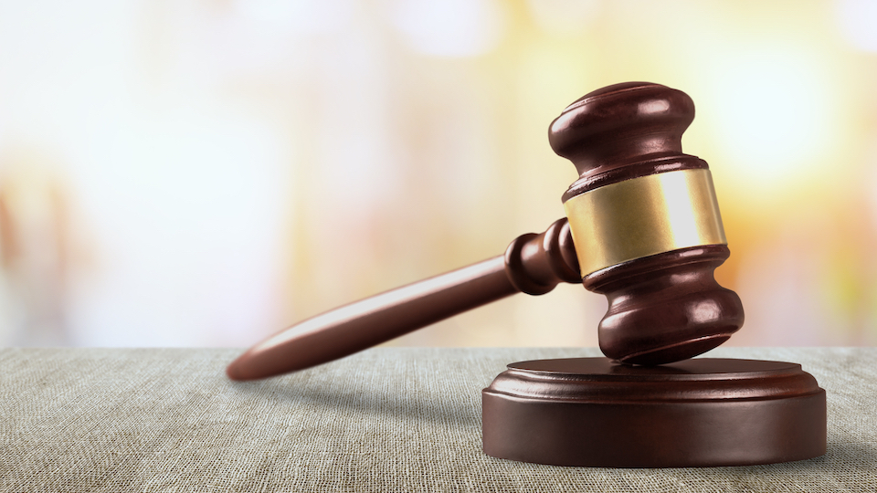 XBIZ's tweet photo. Court Rules Against Woodhull in FOSTA Appeal https://t.co/eRDSyvOin9 https://t.co/raVz5Ijn8n