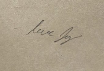 chike🗿 tweet media