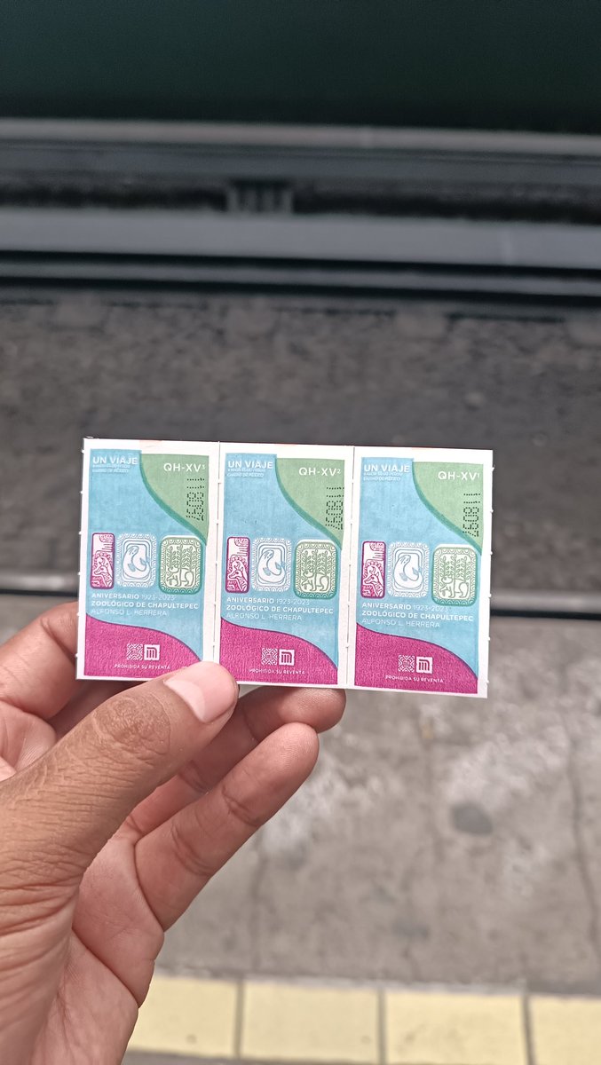 deigojaeger203's tweet image. Nuevo boleto del @MetroCDMX  por los 100 Años del #ZoologicoDeChapultepec  increíble 🦝