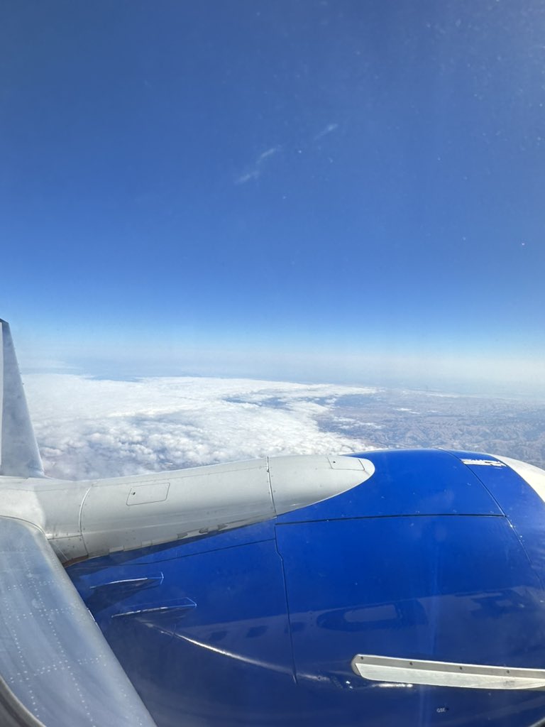 Tesla Raj tweet media