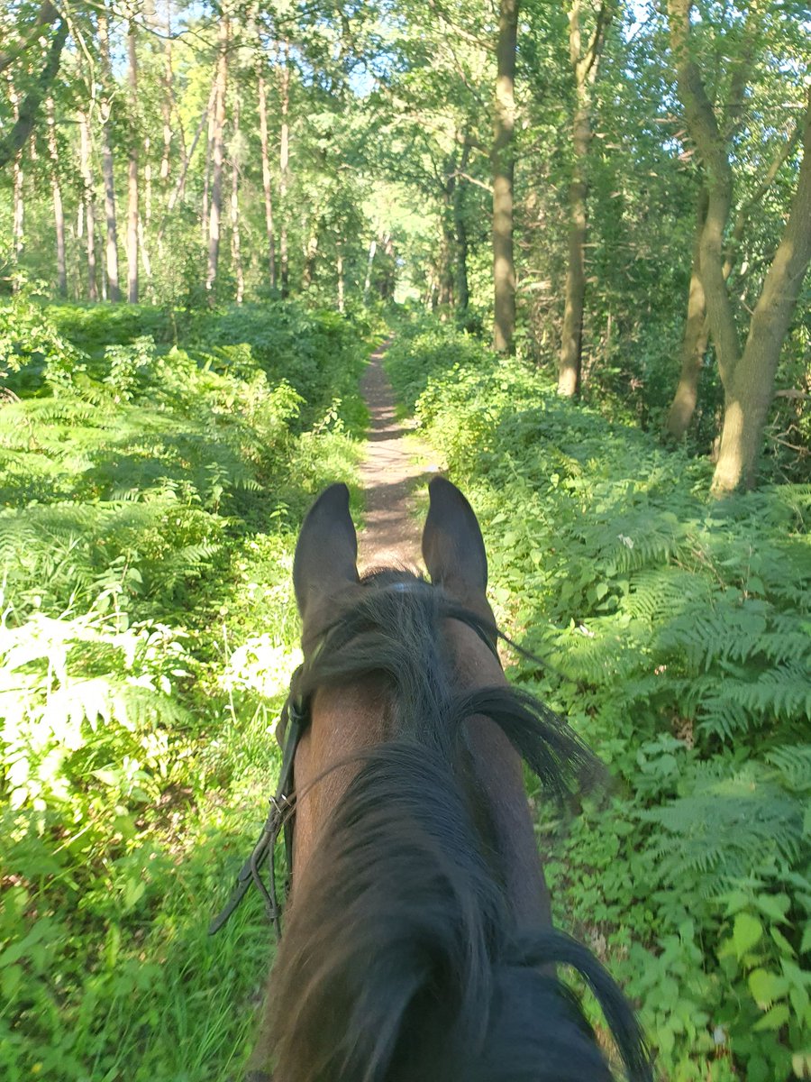 Zack... schon wieder Freitag 😍