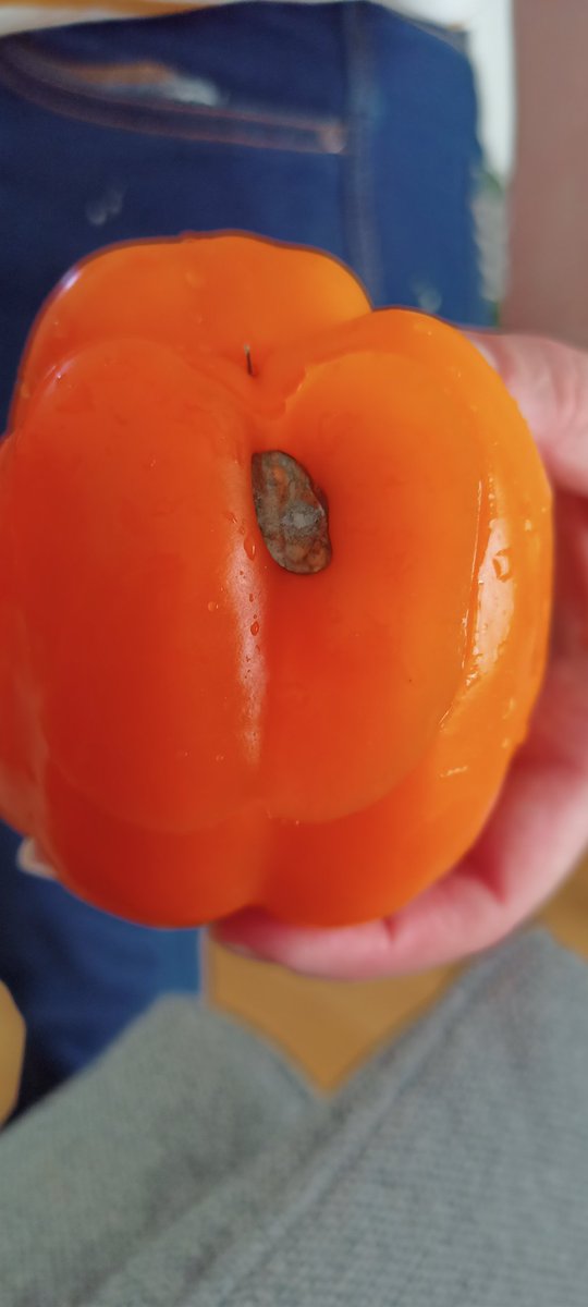 Rskinn's tweet photo. Hey @LidlGB - I've just purchased these and gone to cook them and found this. Pretty poor. https://t.co/OqLPcxzWd0