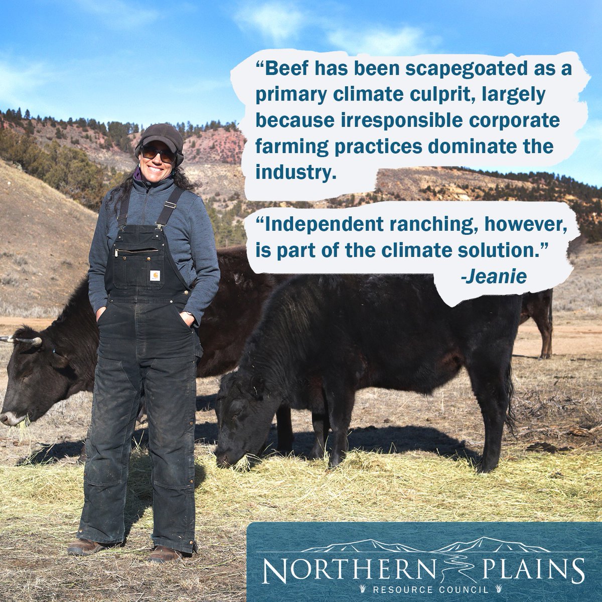 NorPlains's tweet photo. Northern Plains member and rancher Jeanie Alderson wrote a @daily_montanan op-ed on how fraudulent labeling and unlawful market manipulation doesn't just drain millions of dollars from our #RuralEconomy, it also threatens the health of our #Climate. 

https://t.co/alq5aBokiq https://t.co/06uKXB3cus