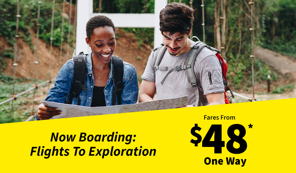 Spirit Airlines tweet media