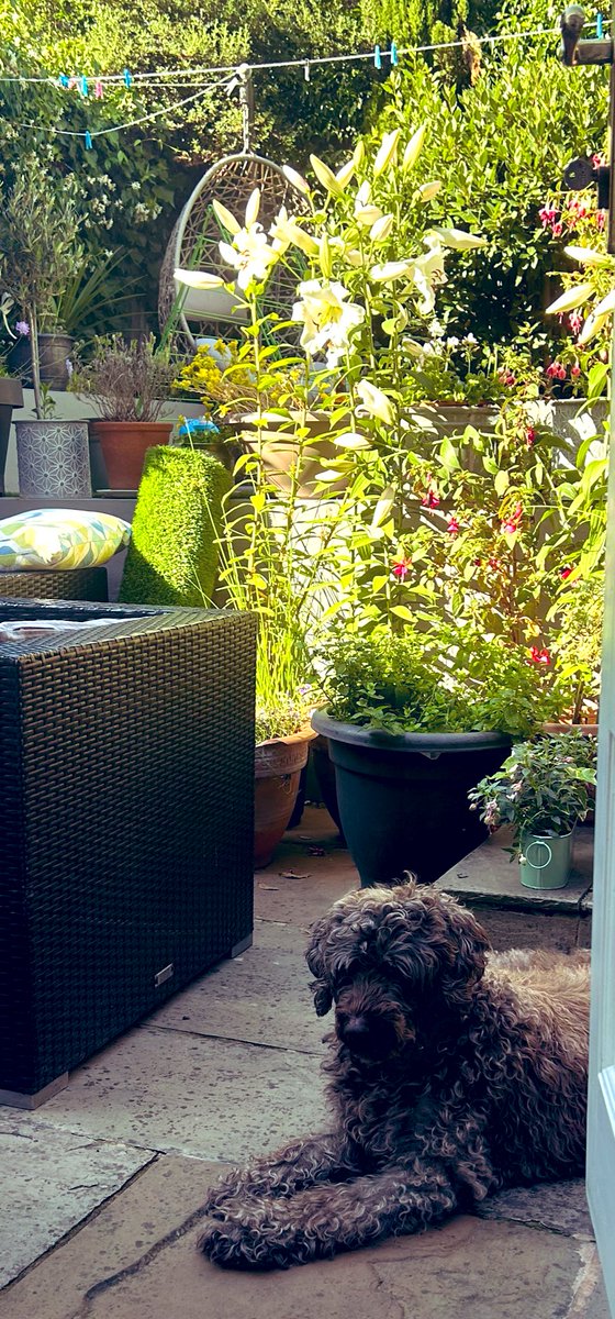 Happy end of term <a href="/BlackheathHigh/">Blackheath High School GDST</a> @GDST