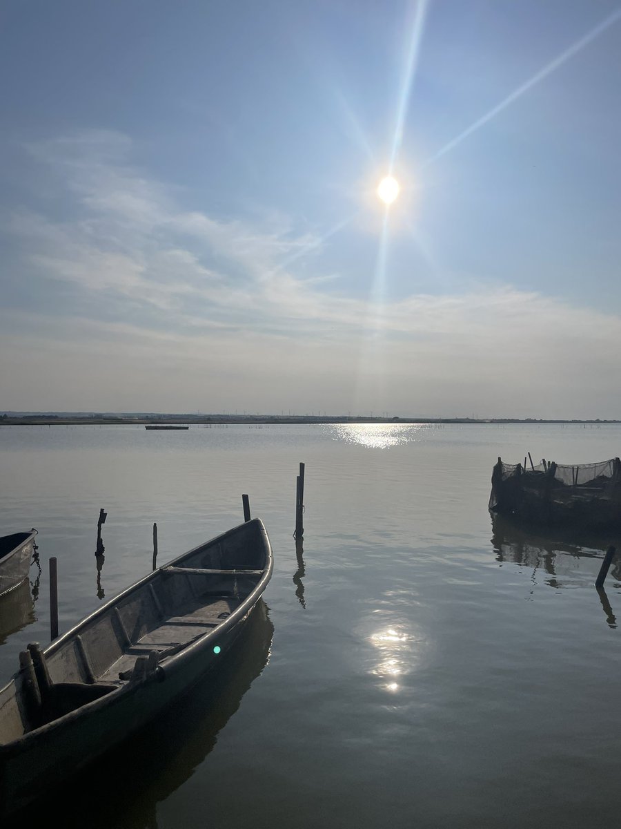 SimRuggieri's tweet image. Siamo tutti passeggeri con un sogno da realizzare.