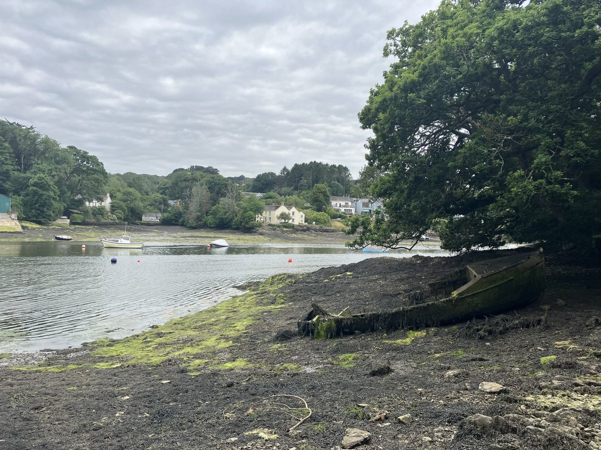 Ron_ejuleff's tweet photo. Bewtie circular @iwalkc from #MylorBridge 2 #RestronguetCreek #Cornwall #Kernow #home 👌😎🍻 https://t.co/uWOgm4HAjw