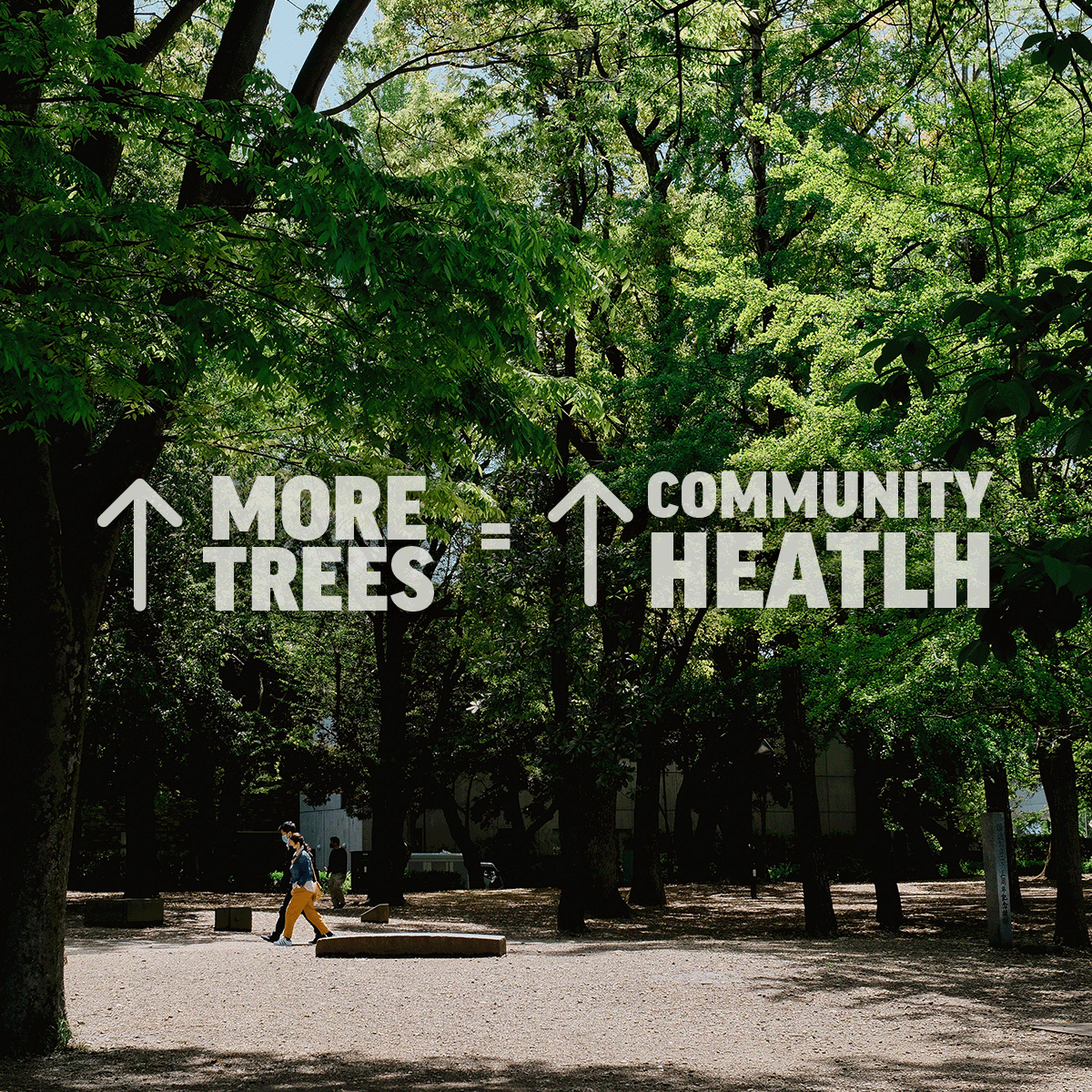 Arbor Day Foundation tweet media