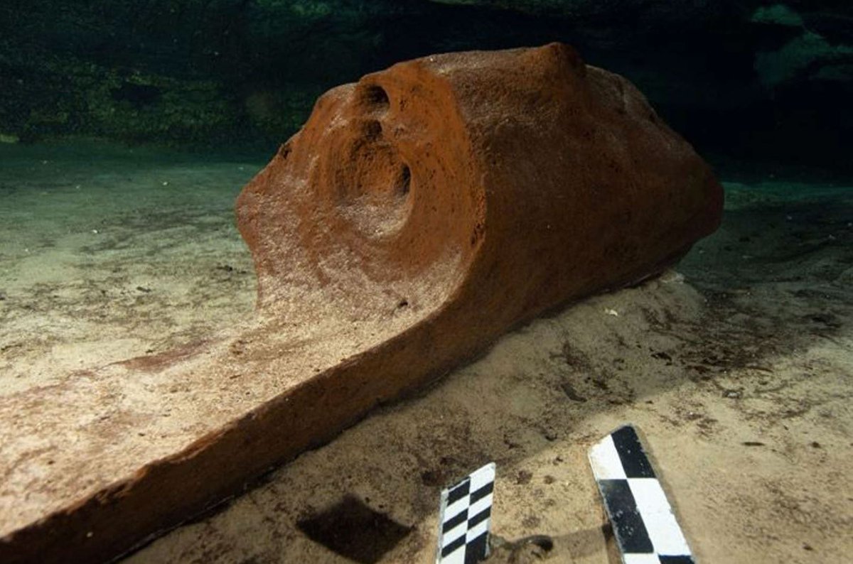 Maya canoe, human and animal bones found in an underwater cave in Mexico. Do these pieces of evidence point to an ancient ritual? Read the story here: msn.com/en-us/news/tec…