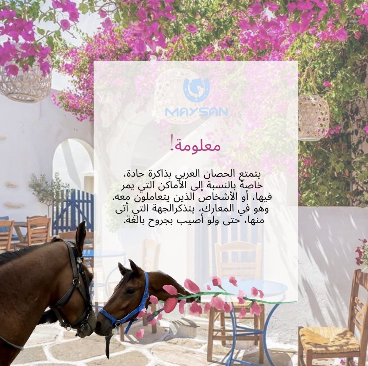gn699's tweet photo. #معلومة 

#ثريدز https://t.co/YtALBlmCea