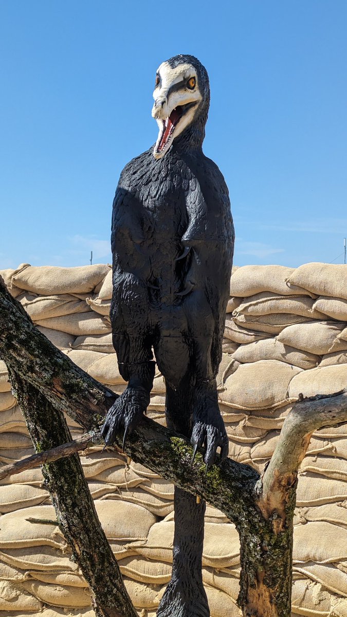 nemocentric's tweet image. I've long dreamed of delivering a lecture—on mass extinction &amp;amp; eco crisis—in blazing sun, inside a massive reconstructed dinosaur nest, next to a 3D-printed velociraptor

Weirdly, this just came true at Pohoda Festival

Thanks András Cséfalvay for making the site-specific eggs 🦖