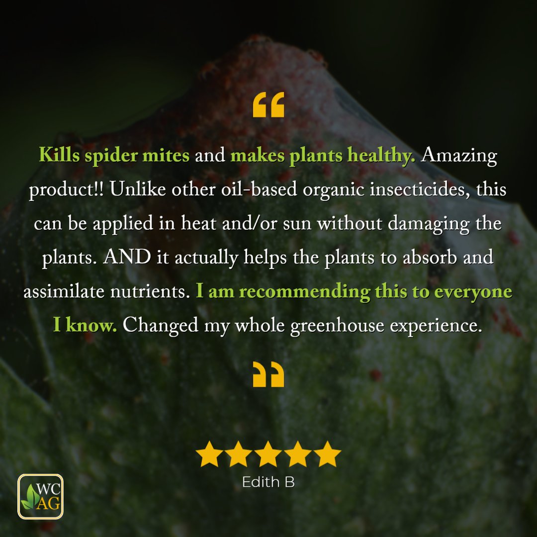 WCAProducts's tweet image. Don&apos;t take our word for it -- our customers say it best! 🌱
Thank you for this ⭐⭐⭐⭐⭐ review!
Read more testimonials on our website ➡️ bit.ly/46BVBtx

#planthealth #organicpestcontrol #naturalpesticide #biologicals #mites #miticide #spidermites
