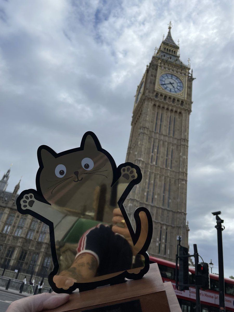 Springfield House School tweet media