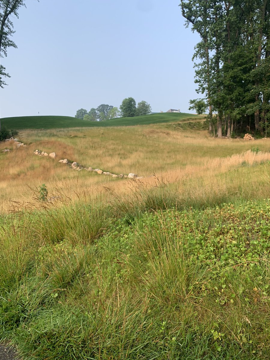 FMCC Course Conditions (@fmcc_golfcourse) on Twitter photo 