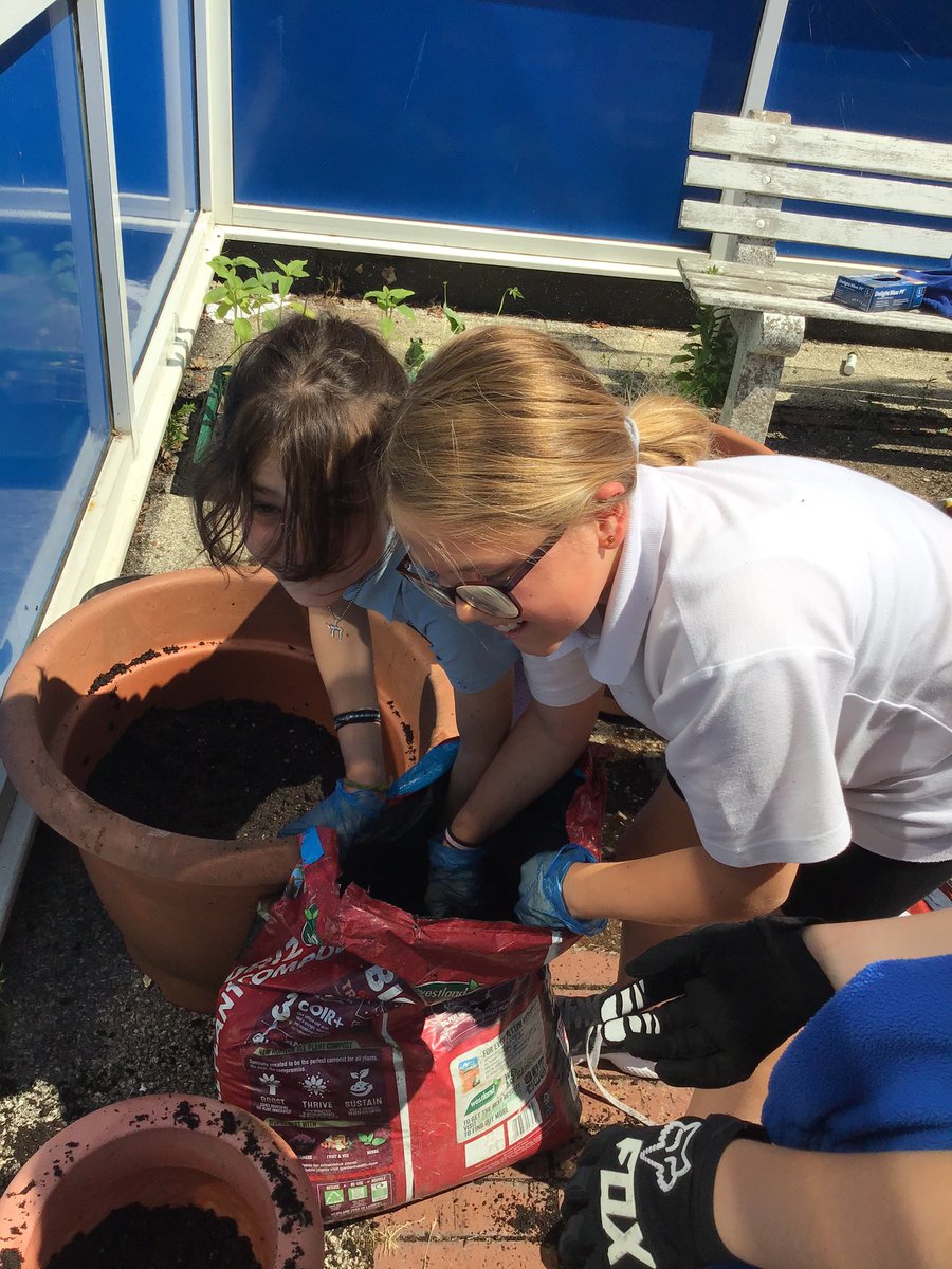 Bryony Thomas tweet media