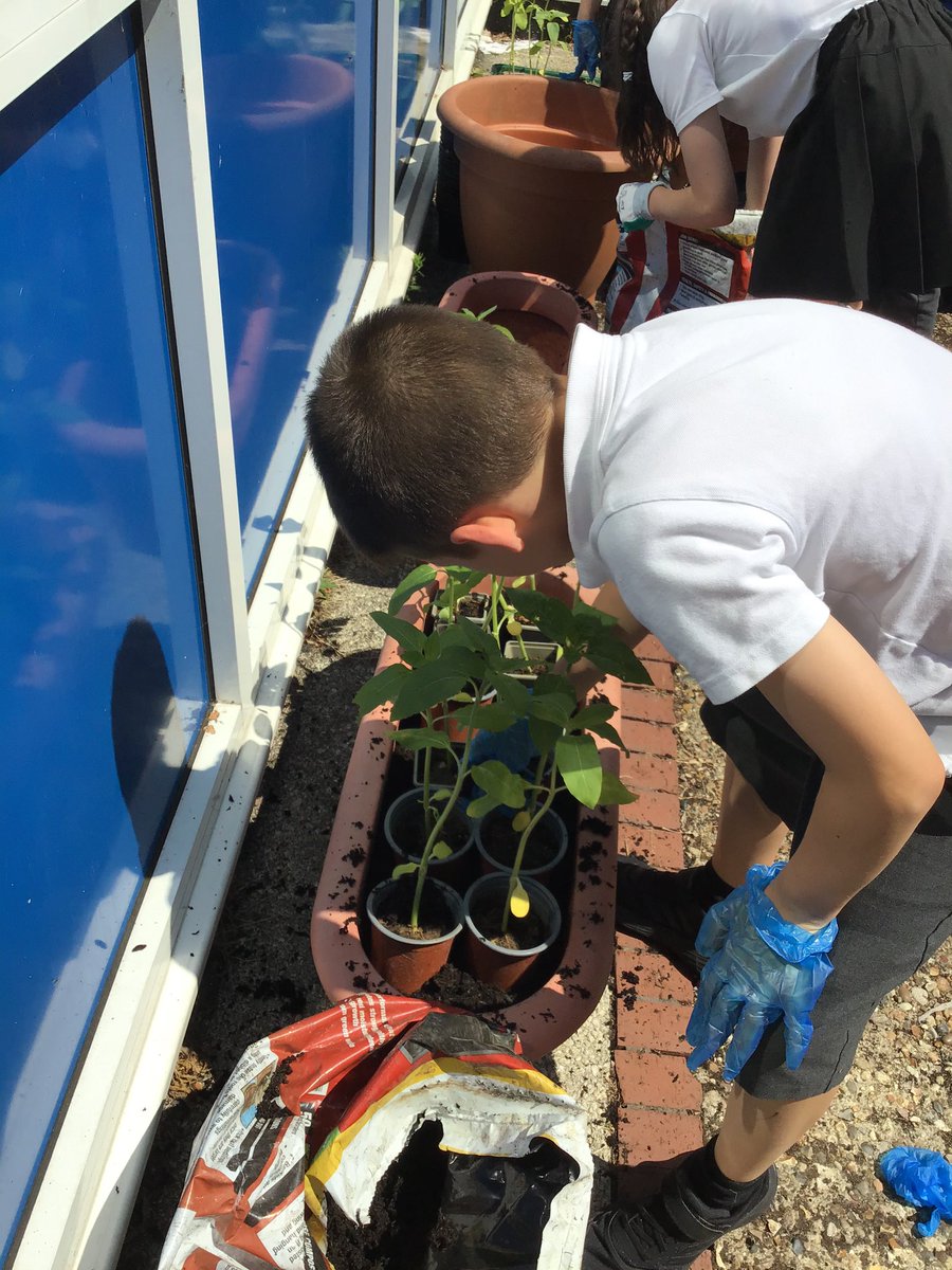 Bryony Thomas tweet media